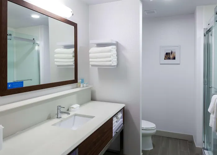 Отель Hampton & Chicago-burr Ridge 3*